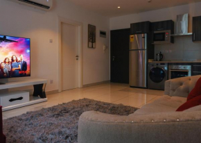 HB Furnished Luxurious Apartment